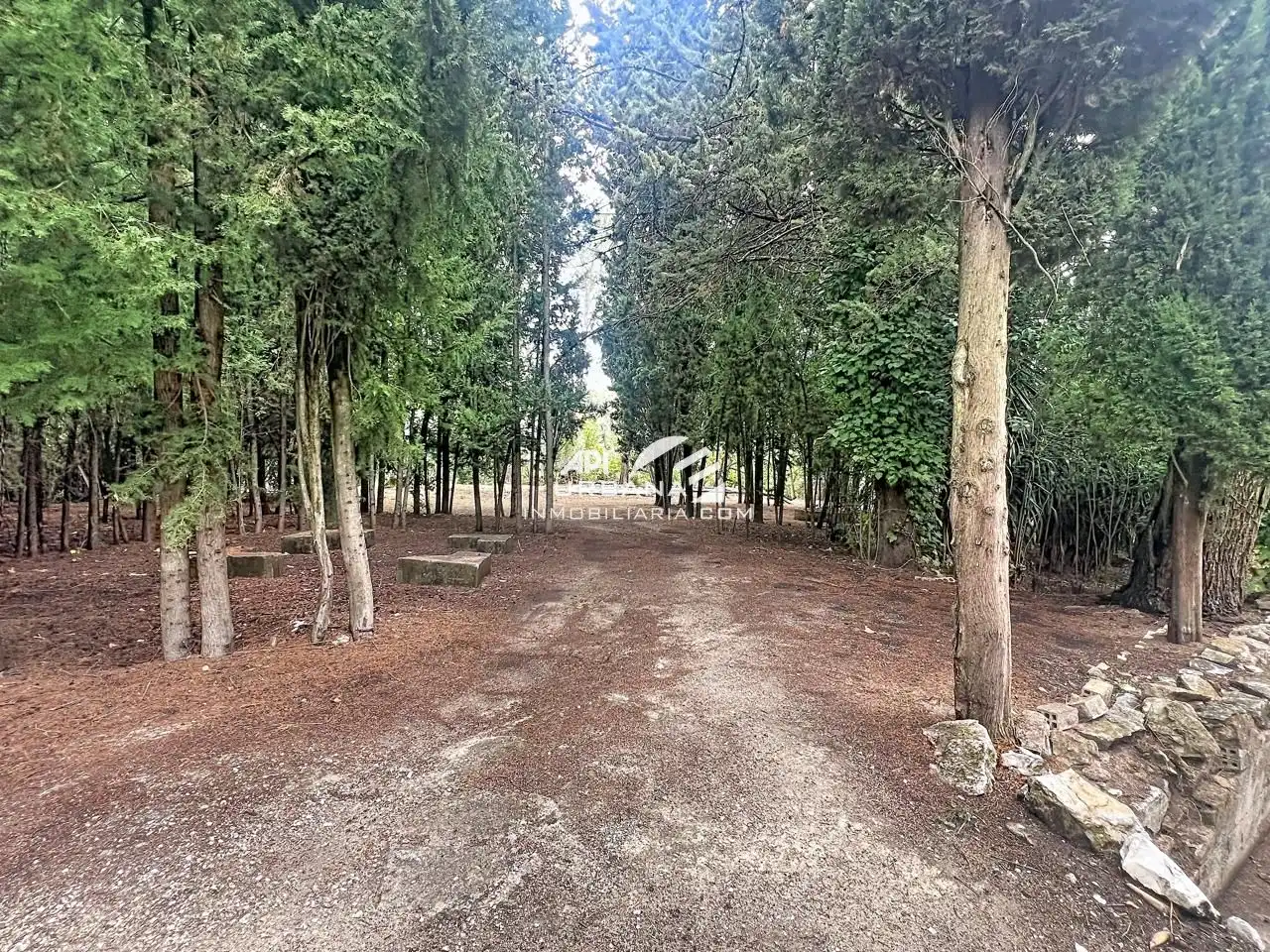 Casa o chalet en venta en Rute, Córdoba