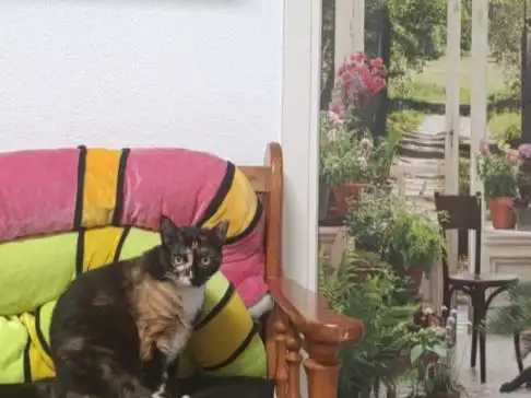 Pis amb jardí en venda a Mariano Caballero 6, imagen 7