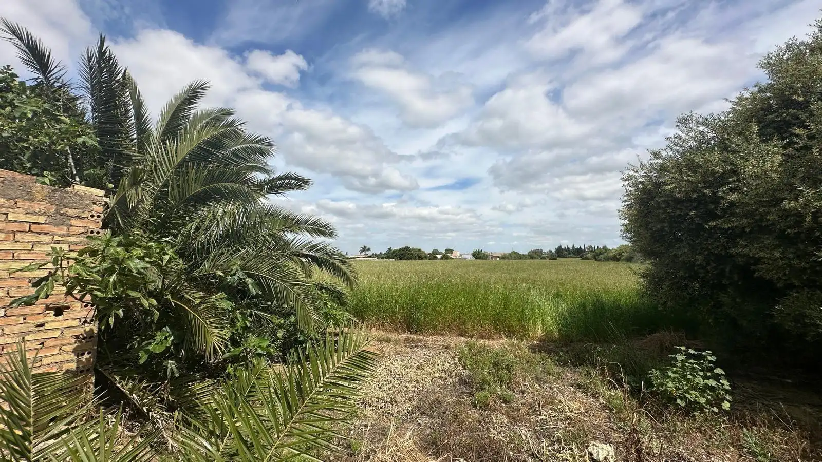 Finca rústica en venda en Conil de la Frontera
