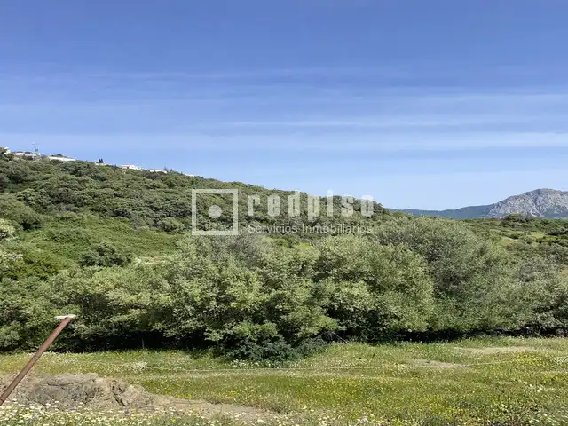 Terreno industrial en venta en Gaucín
