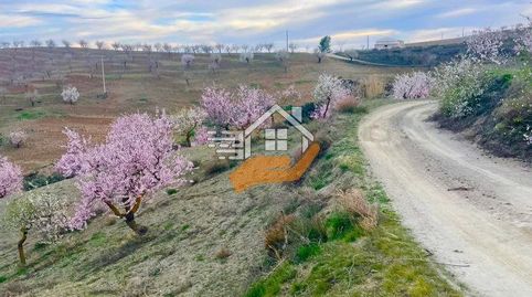 Finca Rúst. en venta en VélezRubio., immagine 4
