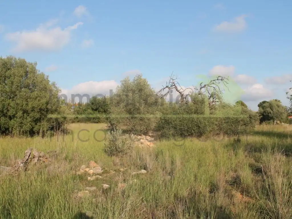Terreny residencial en venda a Càlig