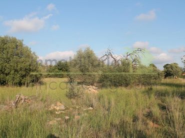 Terrain résidentiel à vendre à Càlig