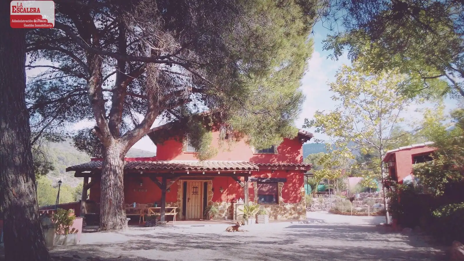 Casa o xalet de lloguer a Ibi