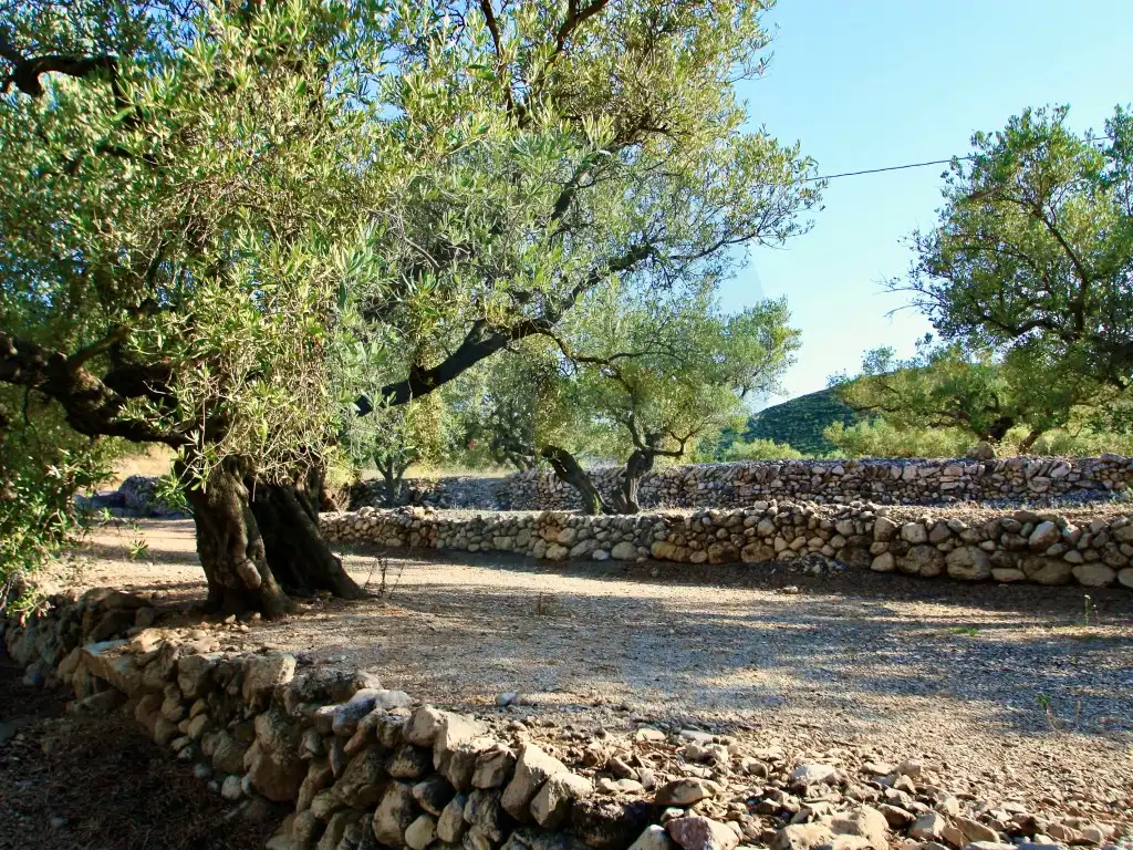 Vista exterior de Finca rústica en venta en Roquetes
