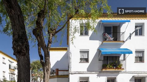 Foto 2 de Habitació a Barrio de los Remedios, Sevilla Capital