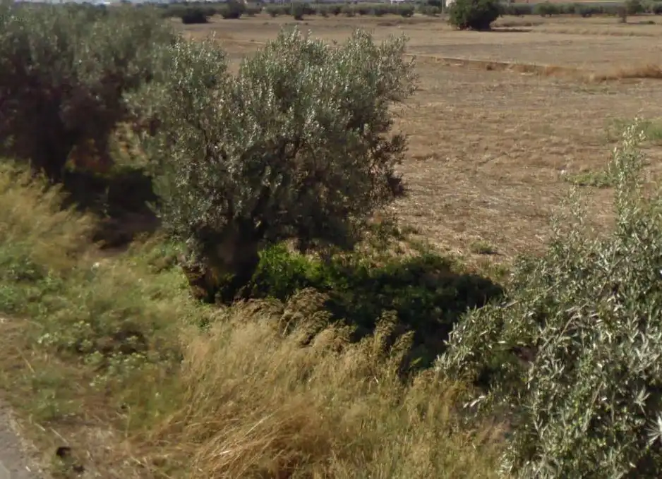 Wohnbaugrundstück zum Verkauf in Pedanías Centro, imagen 8