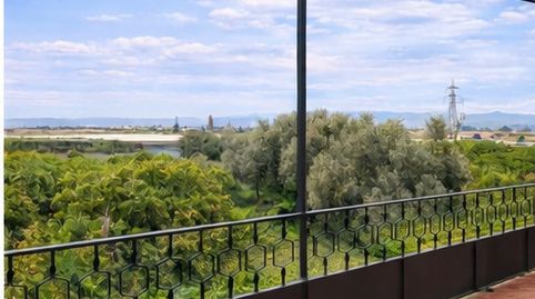 Photo 4 of Country homes for sale in Carretera Sevilla-brenes, San José de la Rinconada, La Rinconada