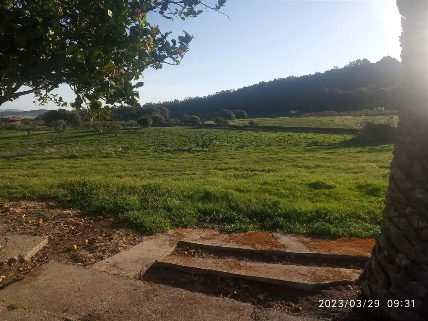 Casa o chalet en venta en Mirabel, Cáceres