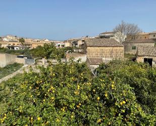 Casa o xalet de lloguer en Llubí amb Jardí privat