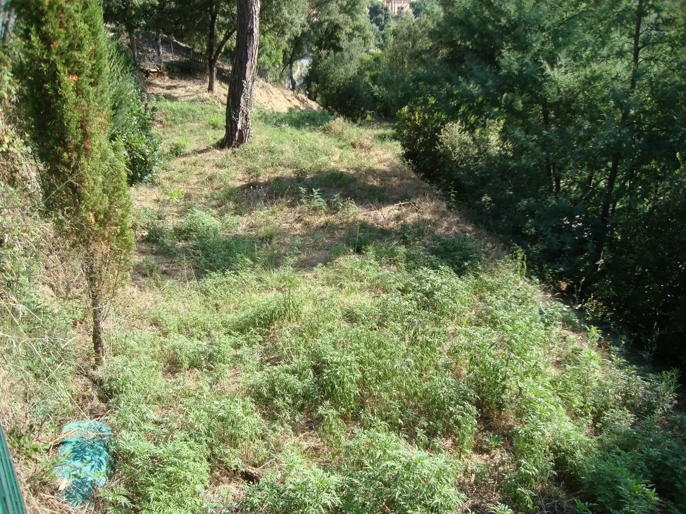 Wohnbaugrundstück zum Verkauf in Sant Cebrià de Vallalta