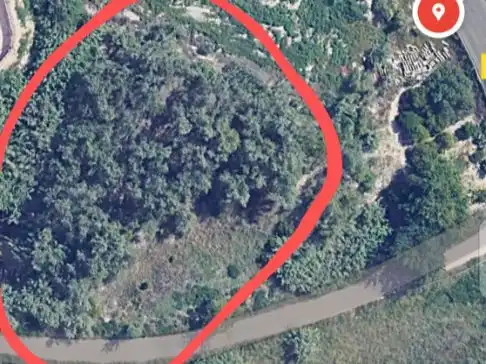 Terreny rústic en venda a Diseminado Carril Casa Grande 6
