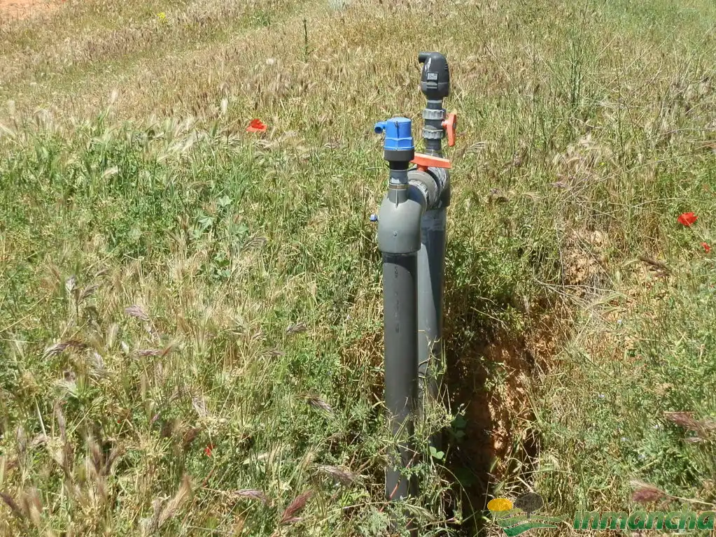 Terreni e lotti in vendita a Almansa, imagen 19