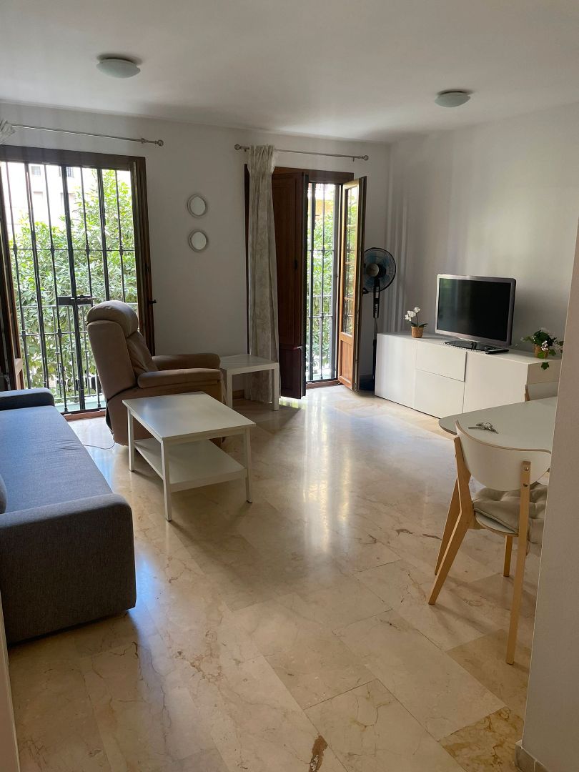 Living room of Apartment to rent in  Sevilla Capital  with Air Conditioner and Furnished