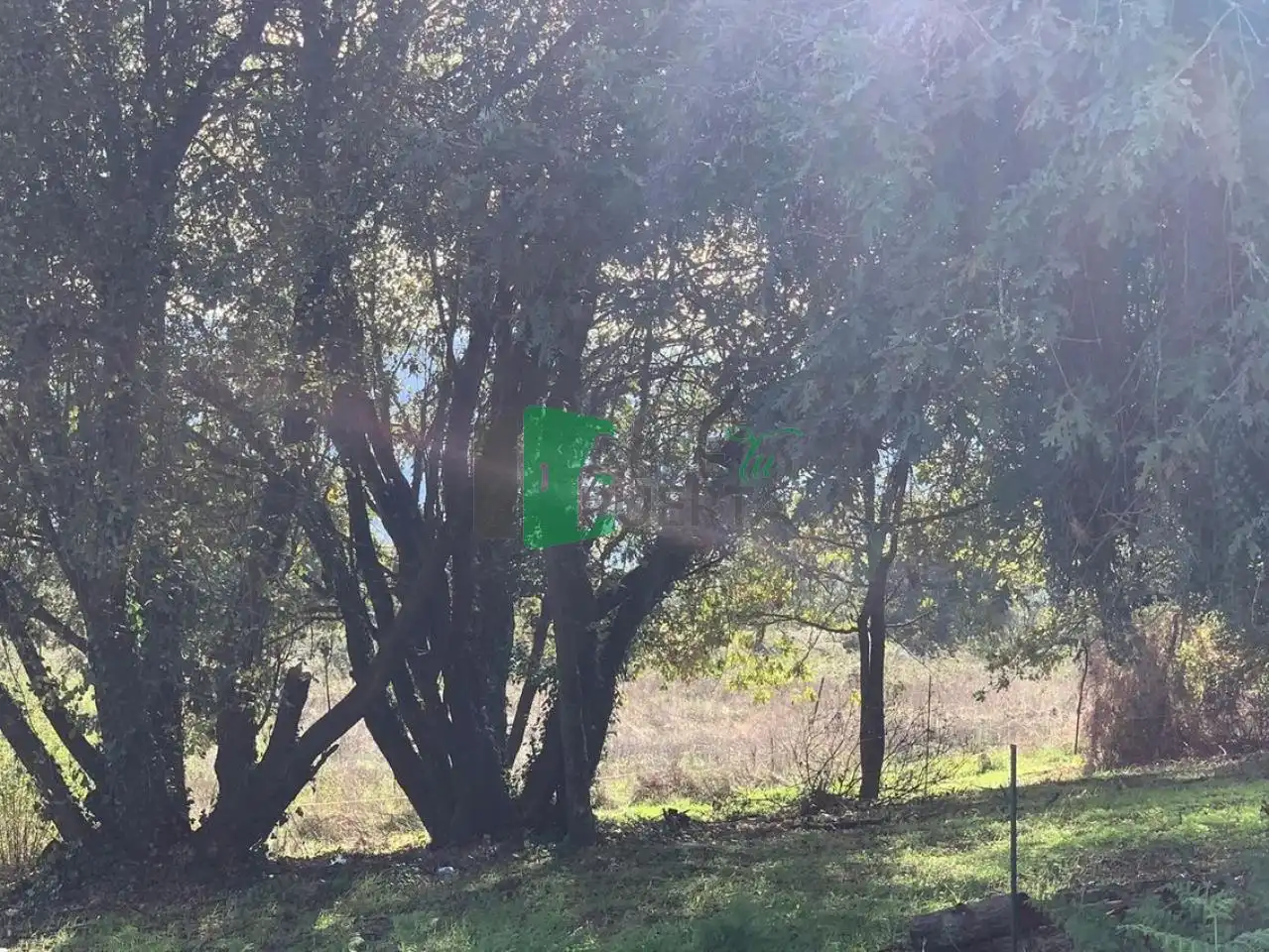 Terreni e lotti in vendita a Ventiun, imagen 15