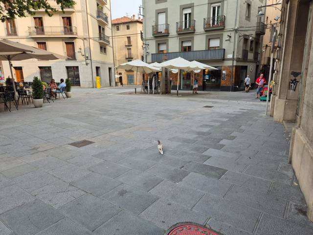 Local comercial en Alquiler en Ripoll