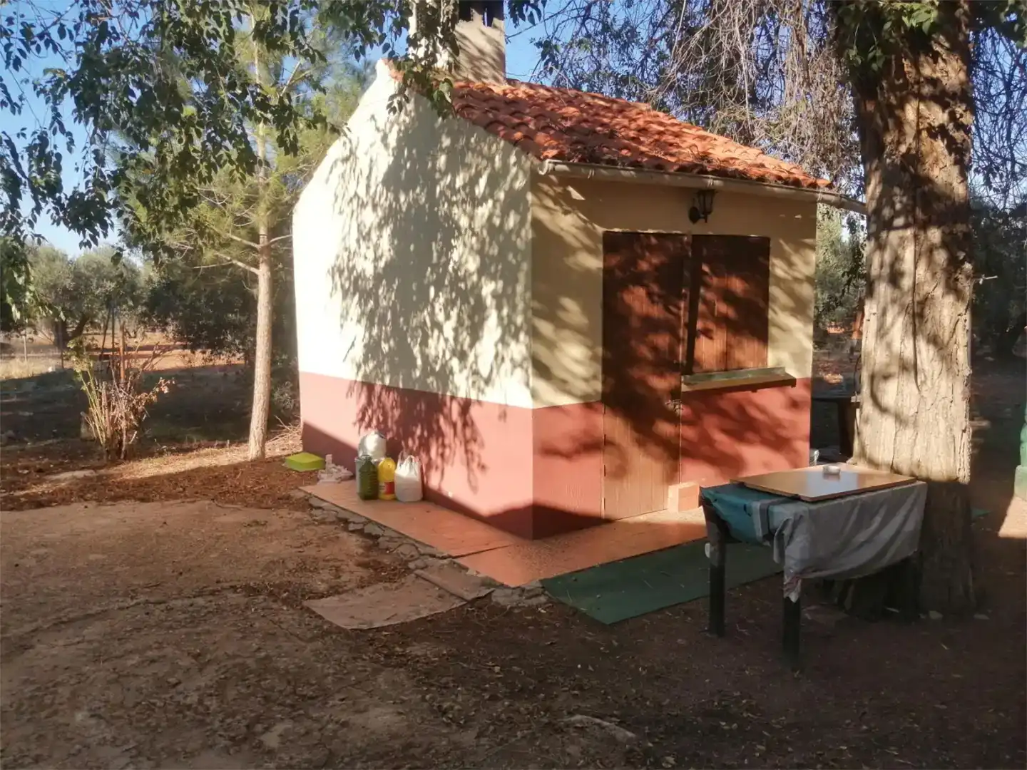 Vista exterior de Casa o xalet en venda en Argamasilla de Calatrava amb Piscina