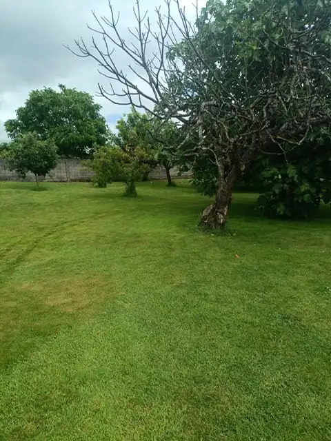 Houses for sale in Narón  with Heating, Storage room and Internet