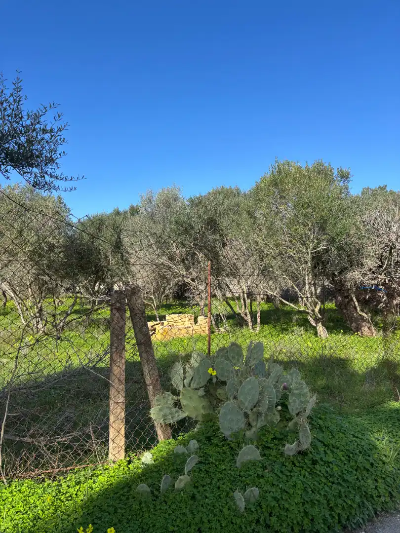Terrenys i solars en venda a Los Franceses – La Vega, imagen 9