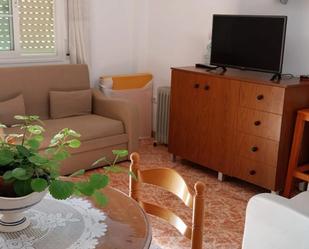 Sala d'estar de Apartament de lloguer en Málaga Capital amb Rentadora i Microones