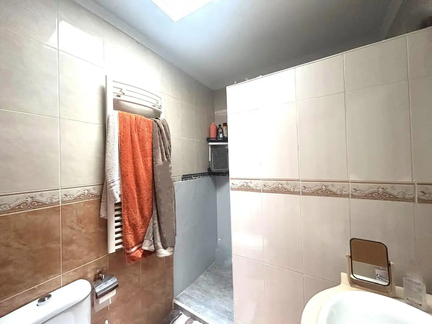Baño de Casa o chalet en venta en El Ejido