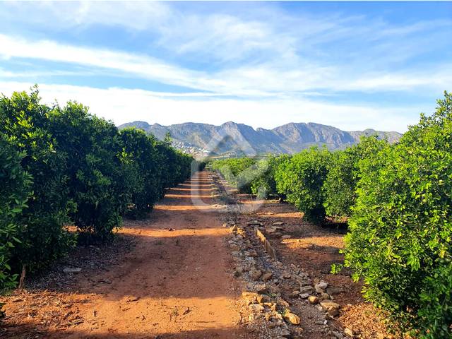 Terreno residencial en Venta en Benidoleig