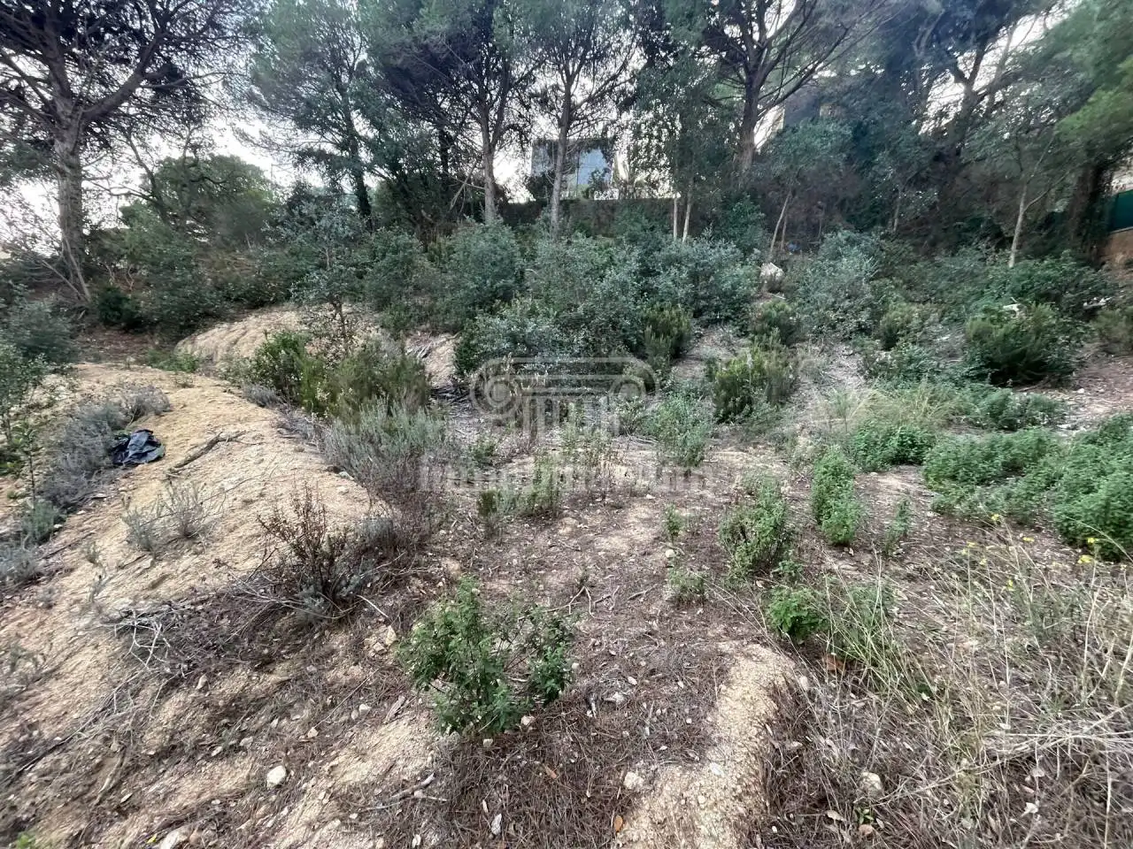 Terreny rústic en venda a Alzines, imagen 4