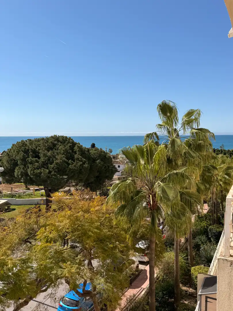 Vista exterior de Pis en venda en Marbella amb Terrassa, Traster i Forn