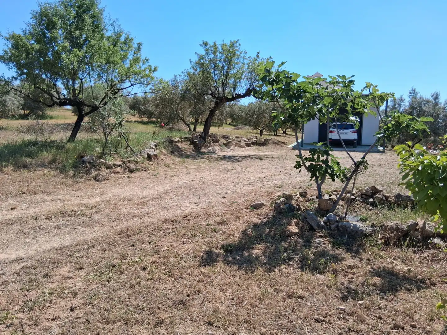 Rustikales Grundstück zum Verkauf in Rute, imagen 9