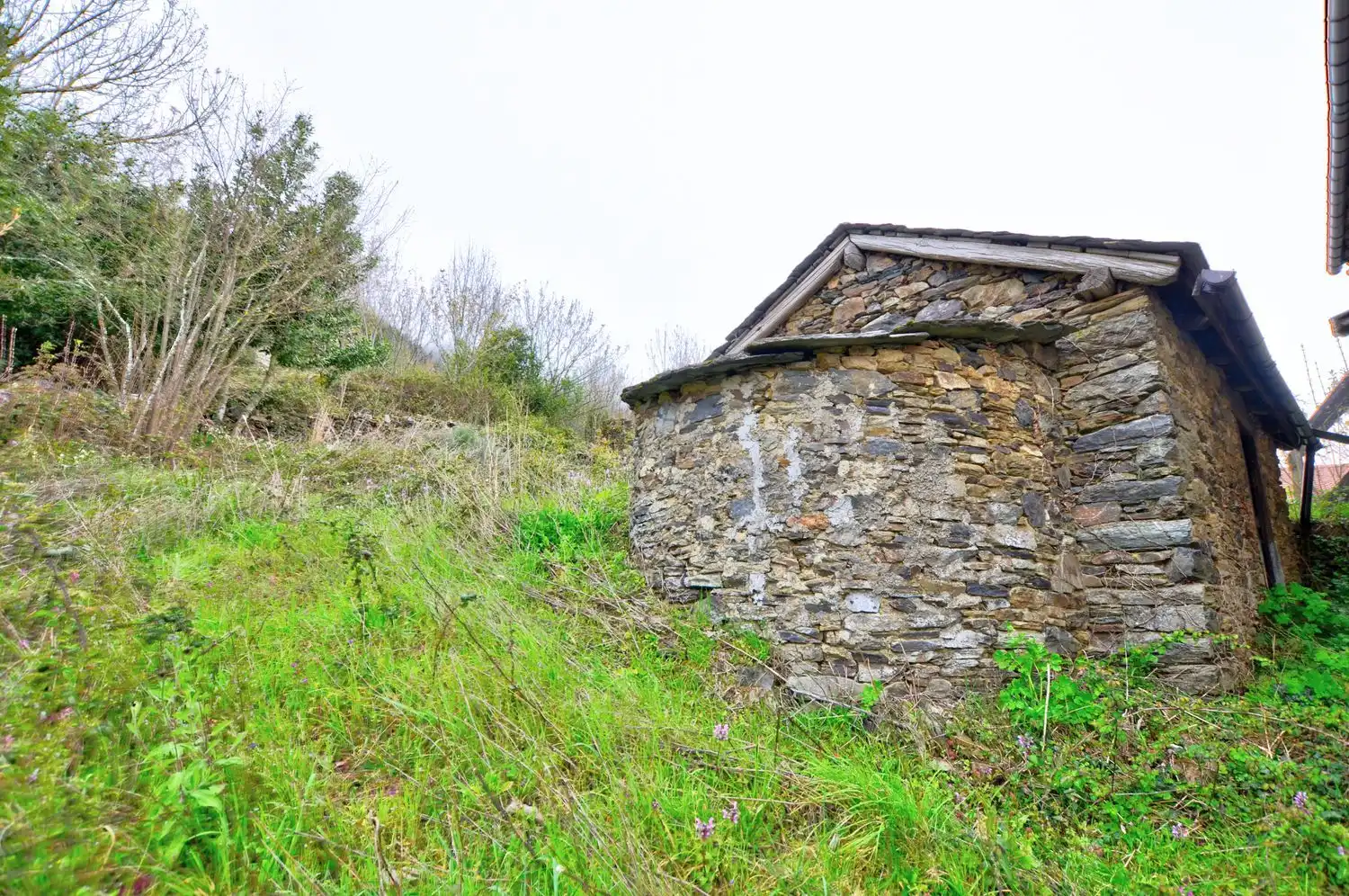 Exterior view of Houses for sale in Cangas del Narcea  with Heating, Storage room and Swimming Pool