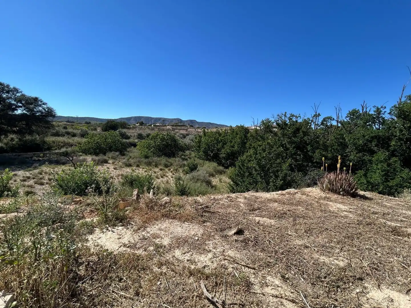Casa rústica amb jardí en venda a Monóvar  / Monòver, imagen 45