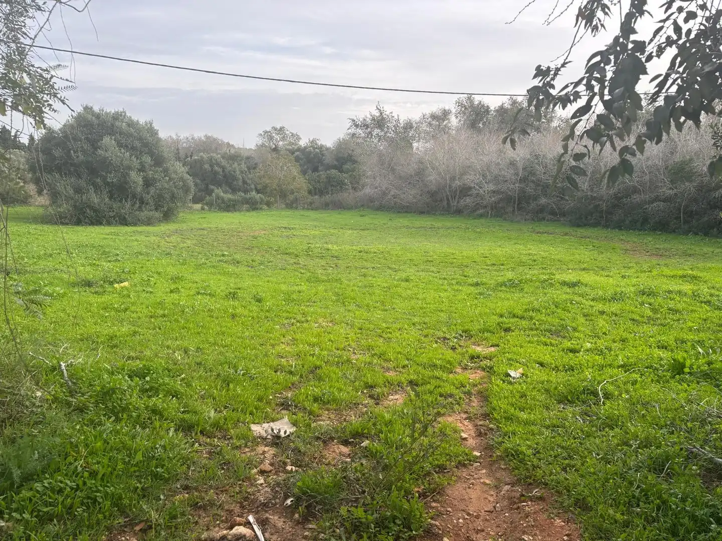 Terreno en venta en Vejer de la Frontera