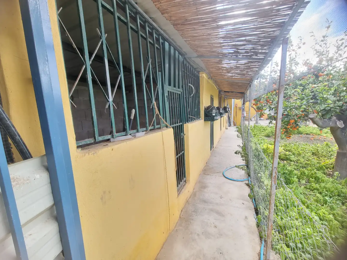 Vista exterior de Finca rústica en venta en Pechina con Aire acondicionado, Calefacción y Jardín privado