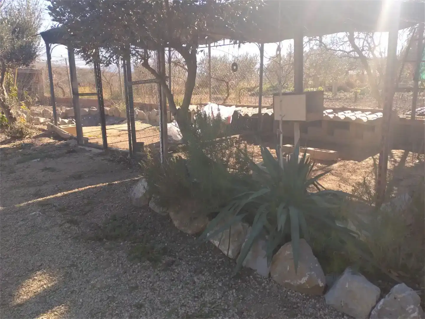 Jardí de Finca rústica en venda en Sax amb Aire condicionat i Piscina