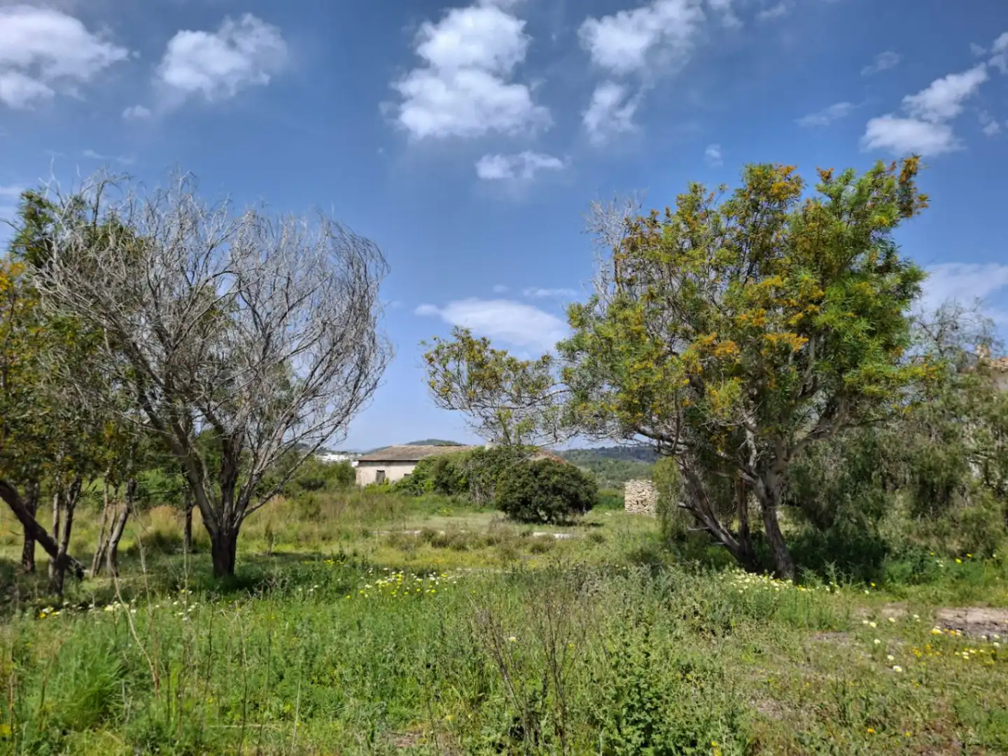 Maison rustique avec jardin à vendre à Teulada, imagen 9