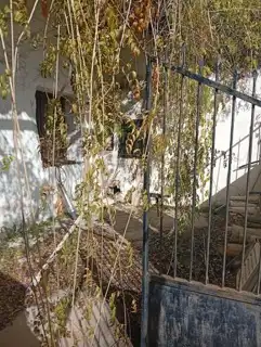 Maison à vendre à Partida Benimarraig, imagen 36