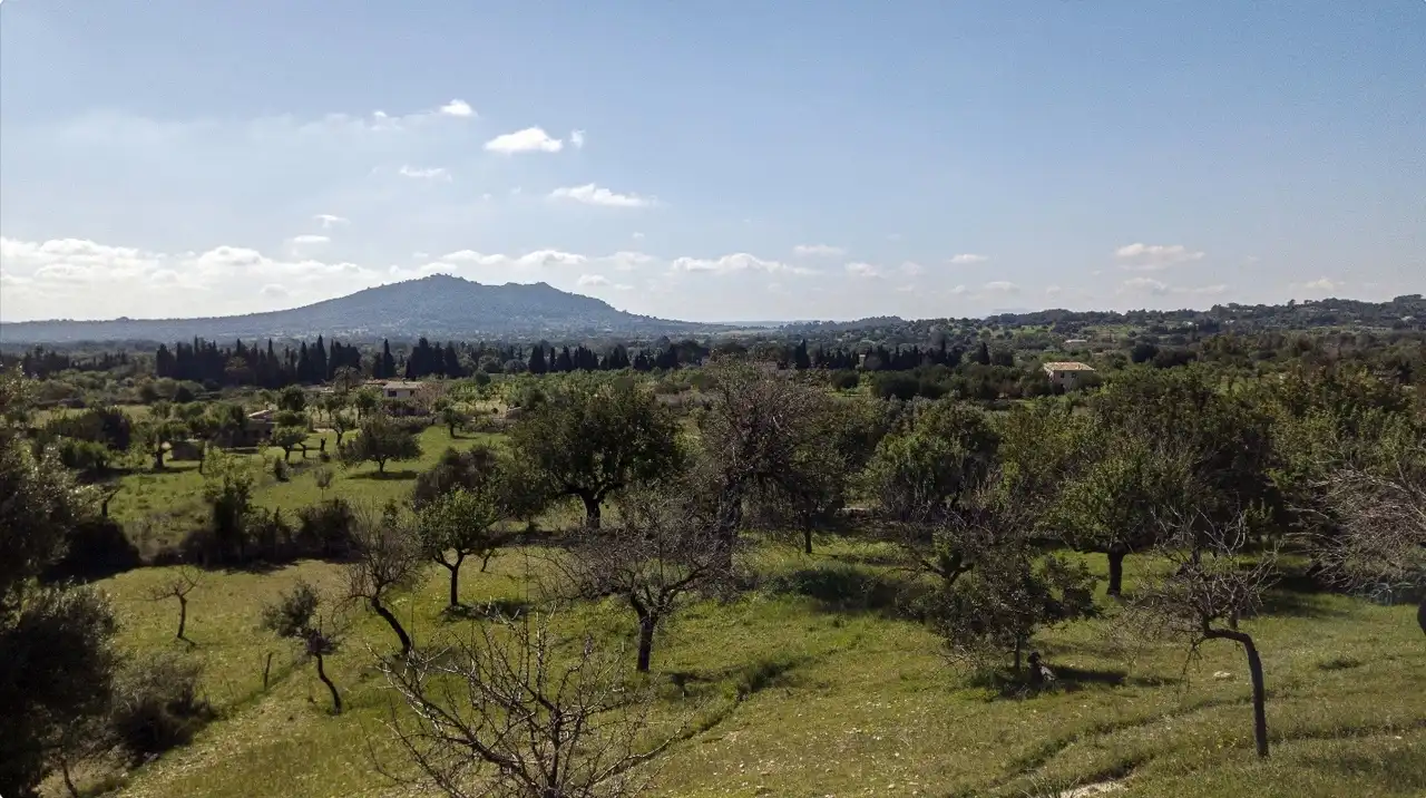 Terreni e lotti in vendita a Selva, imagen 22