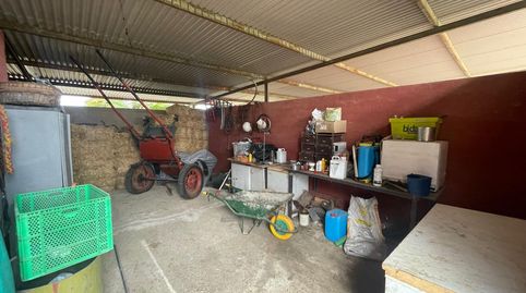 Foto 4 de Finca rústica en venda a Niebla, Huelva