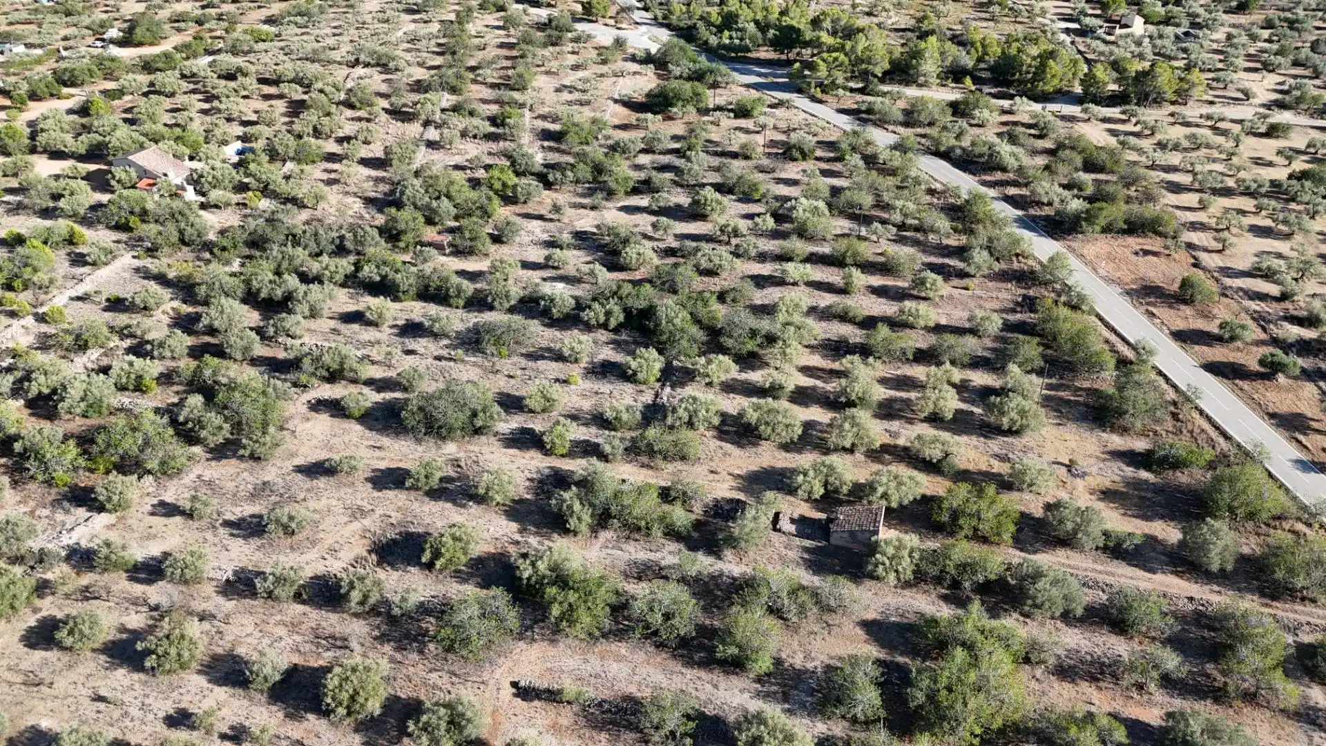 Finca rústica en venta en L'Ametlla de Mar 