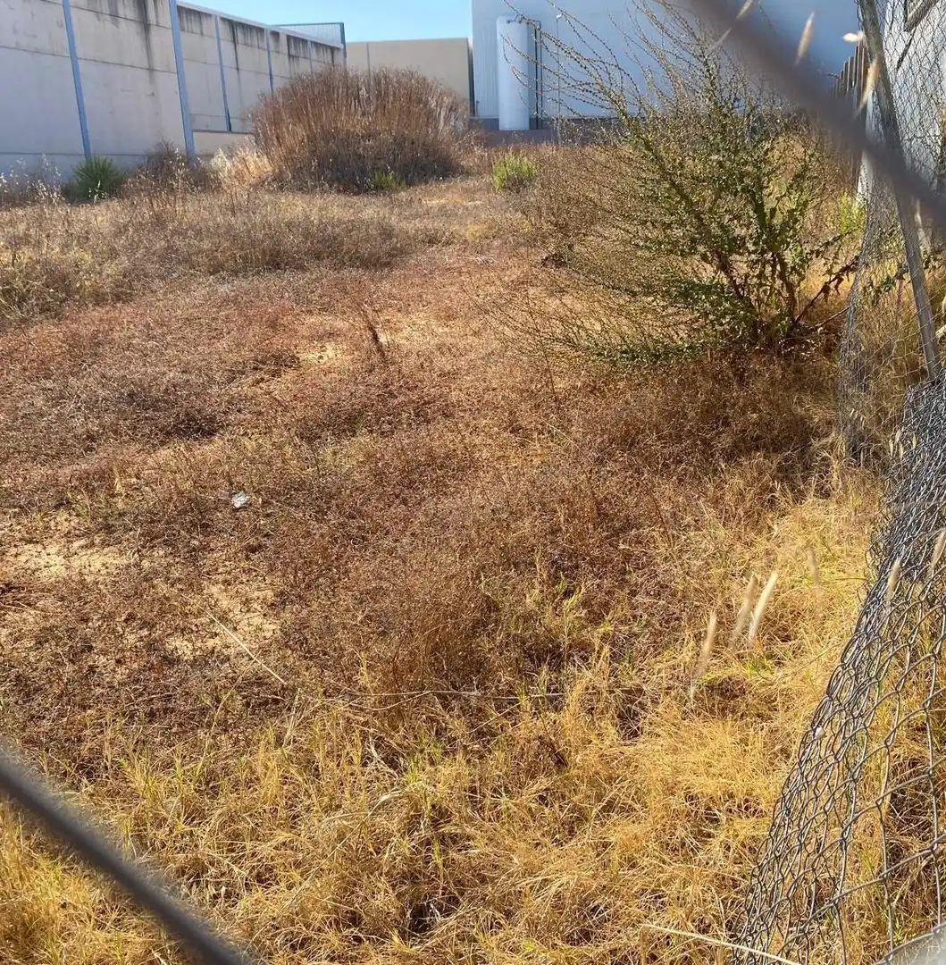 Terreno industriale in vendita a Barbate ciudad, imagen 4