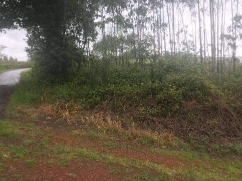 Terreno industrial en venta en Zas