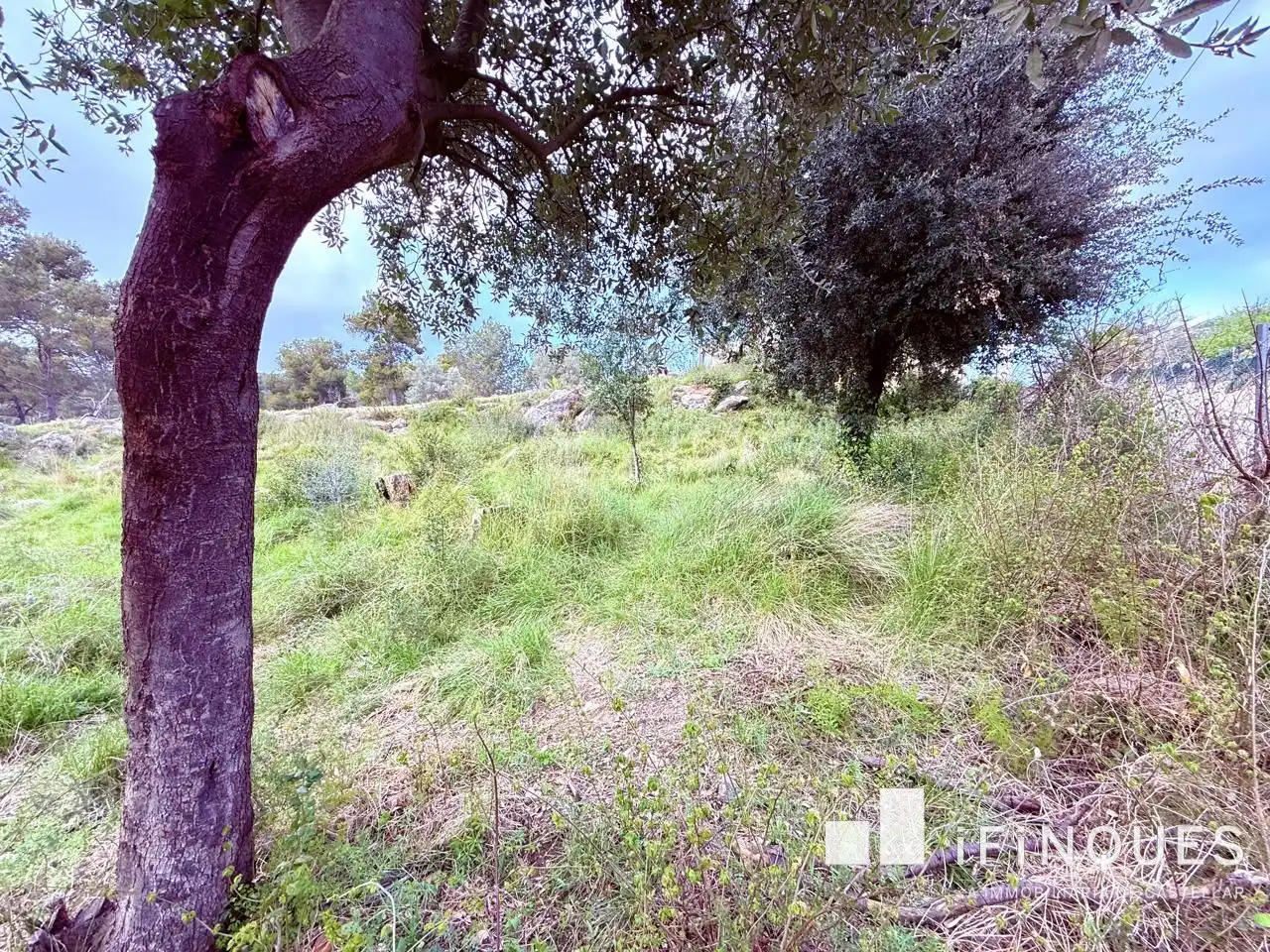 Lands and plots for sale in Airesol, imagen 7