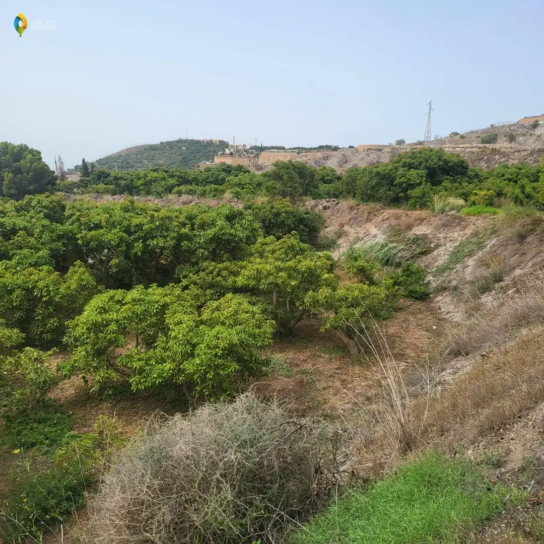 Terreno en venta en Motril  ciudad
