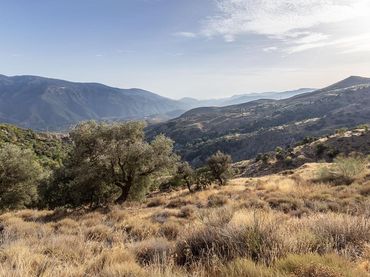 Terreno rustico in vendita a Polígono 8 PARCELA 21