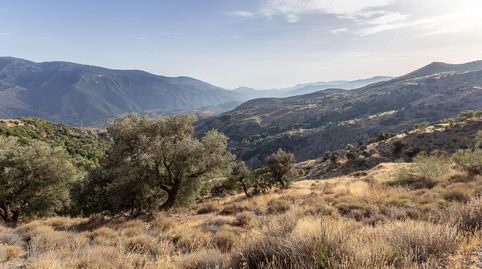 Terreno en Venta en la Alpujarra, Cañar Oportunidad Única en Entorno Rural Encantador