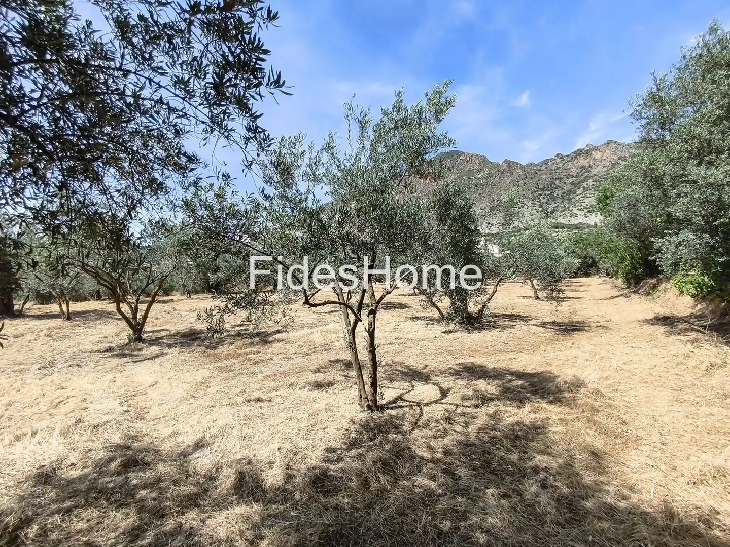 Rural land for sale in XFJ3+526 Nigüelas 0, imagen 30
