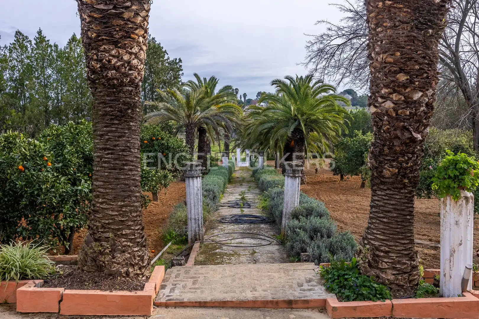 Jardín de Finca rústica en venta en Olivares con Calefacción, Jardín privado y Piscina