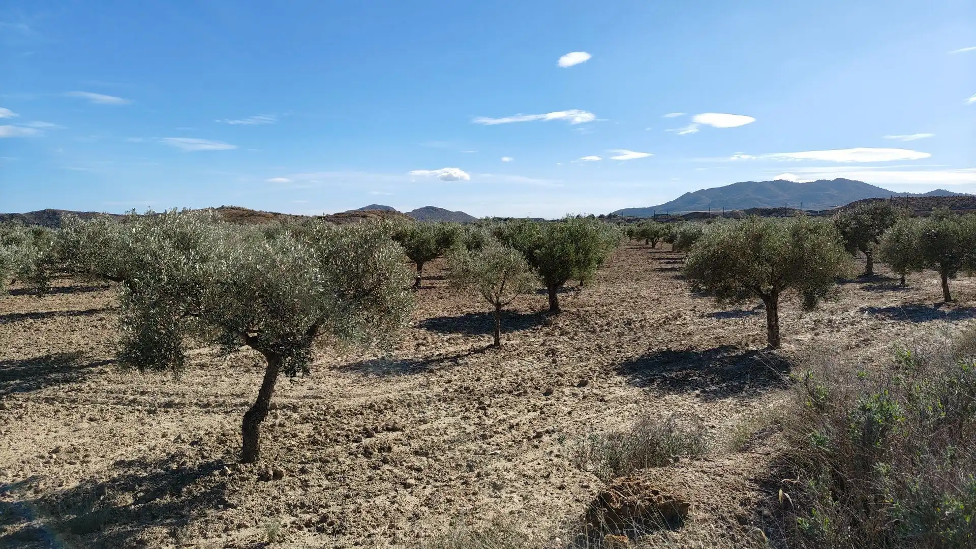 Terreno rustico in vendita a Campo Alto - Club de Campo, imagen 8