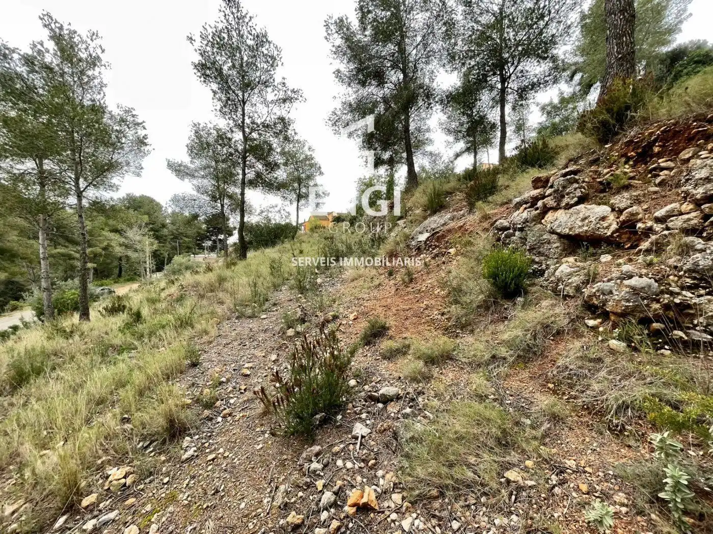 Rural land for sale in Segovia-Priorat, imagen 4