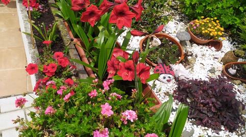 Photo 3 of House or chalet for sale in Neda, A Coruña